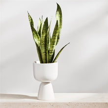 Naložite sliko v pregledovalnik galerije, Lonček za rože Nappula 230 x 155 mm Iittala