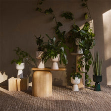 Naložite sliko v pregledovalnik galerije, Lonček za rože Nappula 230 x 155 mm Iittala