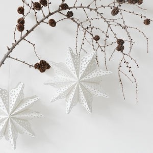 Dekorativna snežinka / zvezda 22cm Delight department