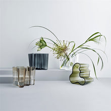 Naložite sliko v pregledovalnik galerije, Vaza Aalto 160 mm prosojna Iittala
