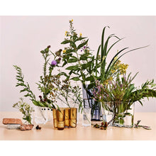 Naložite sliko v pregledovalnik galerije, Vaza Aalto 160 mm prosojna Iittala
