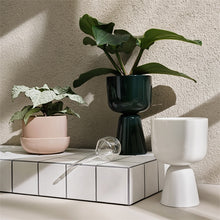 Naložite sliko v pregledovalnik galerije, Set zalivalnih steklenic Iittala
