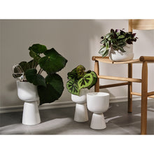 Naložite sliko v pregledovalnik galerije, Set zalivalnih steklenic Iittala
