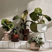 Naložite sliko v pregledovalnik galerije, Lonček za rože Nappula 260 x 155 mm Iittala
