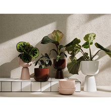 Naložite sliko v pregledovalnik galerije, Lonček za rože Nappula 260 x 155 mm Iittala
