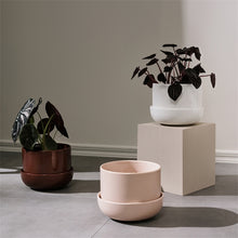 Naložite sliko v pregledovalnik galerije, Lonček za rože s podstavkom Nappula 170 x 130 mm Iittala
